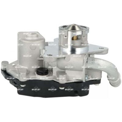 NRF 48743 - EGR-Ventil für Audi, VW, Seat, Skoda - Hochdruckdichtungen NRF 48743 - EGR-Ventil für Audi, VW, Seat, Skoda - Hochdruckdichtungen