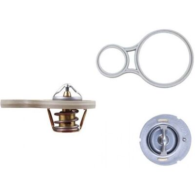 Mahle TX 255 91°C Thermostat mit Dichtung - Thermostat Mahle TX 255 91°C Thermostat mit Dichtung - Thermostat
