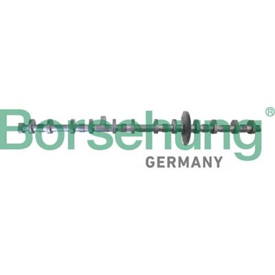 BORSEHUNG B12296 Nockenwelle - OEM BMW-Teil BORSEHUNG B12296 Nockenwelle - OEM BMW-Teil