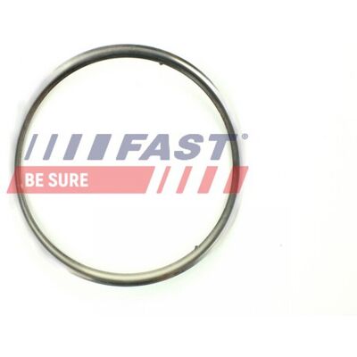 Alfa Romeo Fiat Peugeot - Dichtung, Abgasrohr Alfa Romeo Fiat Peugeot - Dichtung, Abgasrohr