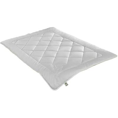 Irisette Weiß Kamelhaar Steppbett - Bett Irisette Weiß Kamelhaar Steppbett - Bett