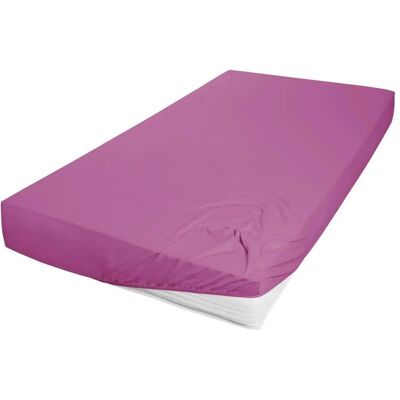 PRIMERA Mako-Feinjersey Lila Spannbettlaken PRIMERA Mako-Feinjersey Lila Spannbettlaken
