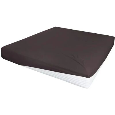 Primera Jersey-Elasthan Spannbettlaken - Wasser- & Boxspringbetten Primera Jersey-Elasthan Spannbettlaken - Wasser- & Boxspringbetten