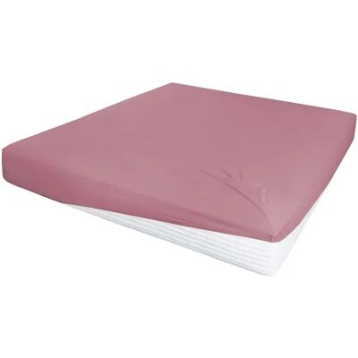 Primera Jersey-Elasthan Spannbettlaken - Wasserbett, 180-200x200cm Primera Jersey-Elasthan Spannbettlaken - Wasserbett, 180-200x200cm