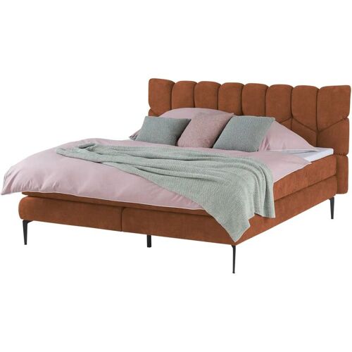 switch Boxspringbett  Bari ¦ orange ¦ Maße (cm): B: 195 H: 110