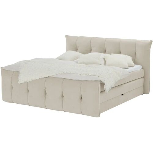 switch Boxspringbett mit Bettkasten Sofia ¦ beige ¦ Maße (cm): B: 204 H: 113