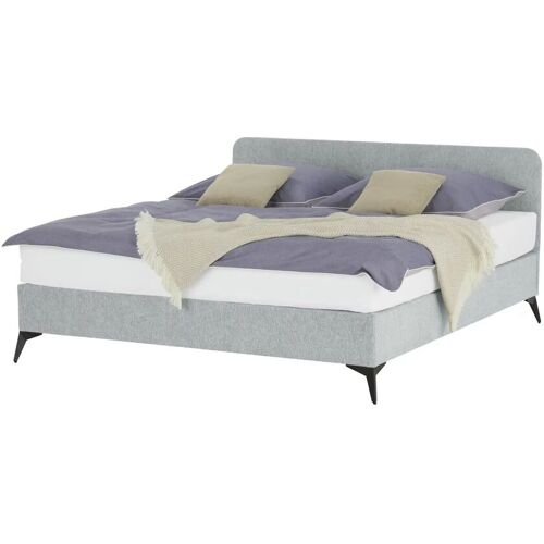 Höffner Polsterbett mit Matratze Simply ¦ grau ¦ Maße (cm): B: 161 H: 90