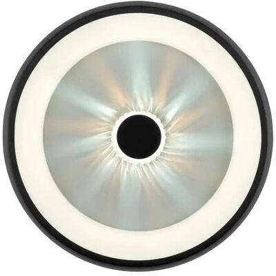 LEUCHTEN DIREKT VERTIGO Schwarze runde LED-Deckenleuchte - Deckenlampe LEUCHTEN DIREKT VERTIGO Schwarze runde LED-Deckenleuchte - Deckenlampe