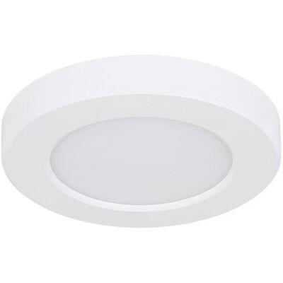 GLOBO Deckenleuchte - Einstellbare Farbtemperatur 3000K-6500K - 120mm GLOBO Deckenleuchte - Einstellbare Farbtemperatur 3000K-6500K - 120mm