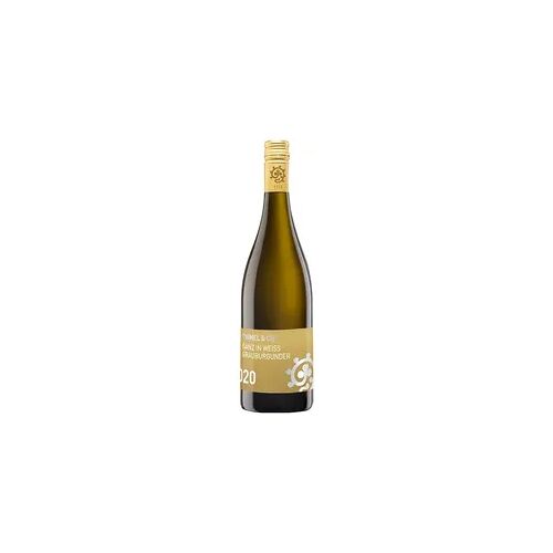 Weingut Hammel & Cie Weingut Hammel Ganz In Weiss Grauburgunder trocken 0,75L Image