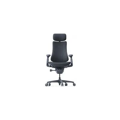 Libernovo Omni Dynamischer Ergonomischer Stuhl – Midnight Black Libernovo Omni Dynamischer Ergonomischer Stuhl – Midnight Black