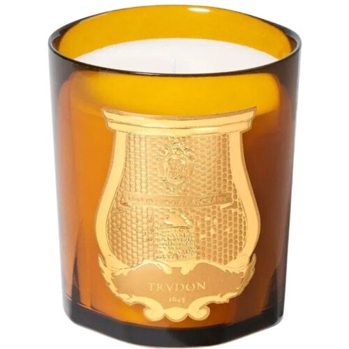 Trudon Duftkerze Altair