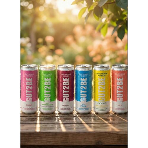 GUT2BE Daheim-Qualität ( keine Pulvermischungen ) frisch & bezaubernd - GUT2BE CRAFT PREMIUM-Kombucha fermentierter Tee 24er-Probierset Mix