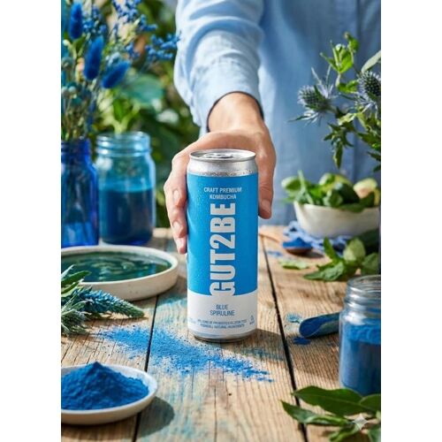 12x GUT2BE Daheim-Qualität CRAFT PREMIUM-Kombucha fermentierter Tee - Blaue Spirulina