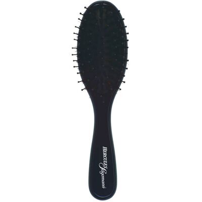 Hercules Sägemann Brush 9530 Hercules Sägemann Brush 9530