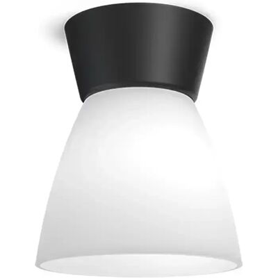 Belid, Bizzo Ceiling D165 Mattschwarz/Palmenglas E27 Belid, Bizzo Ceiling D165 Mattschwarz/Palmenglas E27