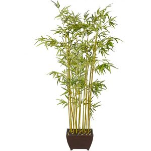 Mr Plant, Bambus 190 cm Mr Plant, Bambus 190 cm