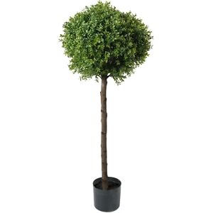 Mr Plant, Buchsbaum 115 cm Mr Plant, Buchsbaum 115 cm