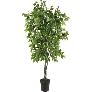 Mr Plant, Ficus-Baum Benjamin 165 cm Mr Plant, Ficus-Baum Benjamin 165 cm