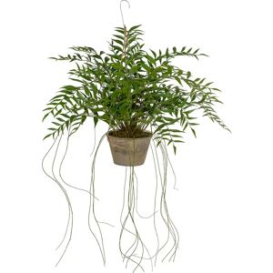 Mr Plant, Hoya Hängepflanze 65 cm Grün Mr Plant, Hoya Hängepflanze 65 cm Grün