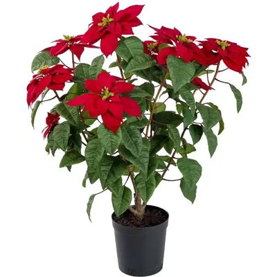 Mr Plant, Weihnachtsstern 70 cm Rot Mr Plant, Weihnachtsstern 70 cm Rot