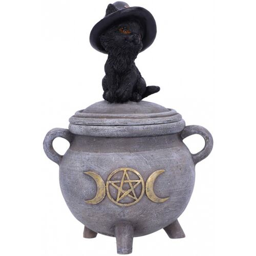 Hexenkätzchen mit Hexenkessel Box 14cm