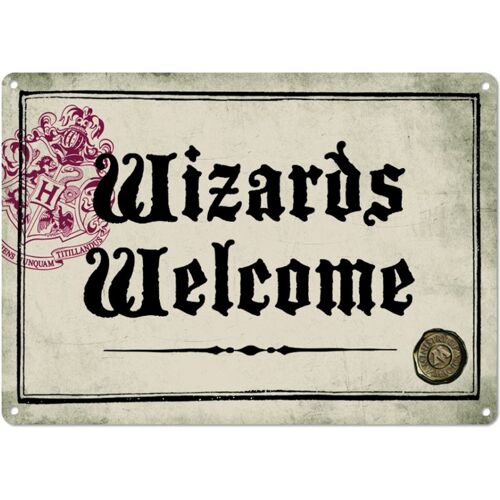 Wizards Welcome Harry Potter Blechschild DIN A5