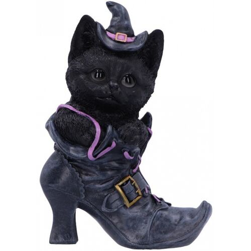 Schwarze Katze im Hexenschuh