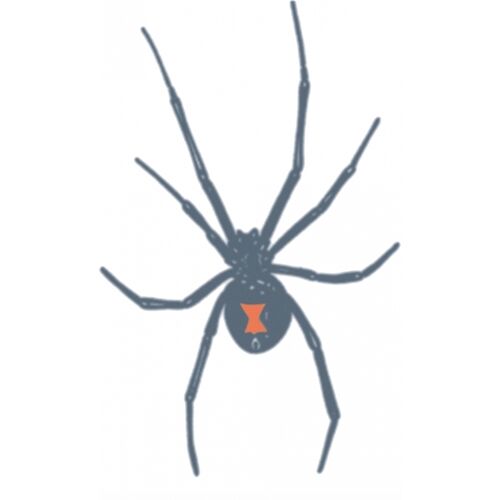 Schwarze Witwe Knast-Tattoo zum Aufkleben