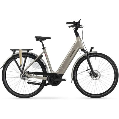 Batavus Finez E-go® Power Exclusive Plus RT 750 Low champagner gold Batavus Finez E-go® Power Exclusive Plus RT 750 Low champagner gold