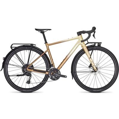 Focus ATLAS 6.8 EQP Diamant sand / oak Focus ATLAS 6.8 EQP Diamant sand / oak