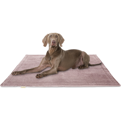Knuffelwuff Cord Hundedecke Timor 120x80cm Rosa