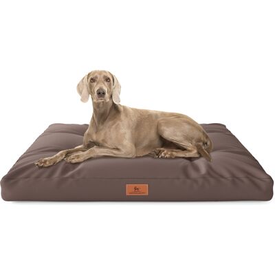 Knuffelwuff Hundekissen Gatsby aus Oxford-Gewebe 75x50cm Braun Knuffelwuff Hundekissen Gatsby aus Oxford-Gewebe 75x50cm Braun