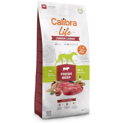 Calibra Dog Life Large Breed Frisches Rind Junior Hundefutter - Trockenfutter Calibra Dog Life Large Breed Frisches Rind Junior Hundefutter - Trockenfutter