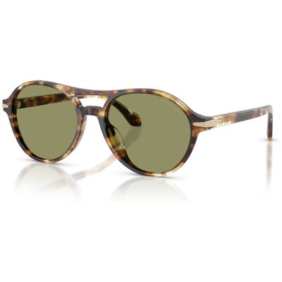 Giorgio Armani AR8236U Runde Grüne Schildkröten Sonnenbrille - Sonnenbrillen Giorgio Armani AR8236U Runde Grüne Schildkröten Sonnenbrille - Sonnenbrillen