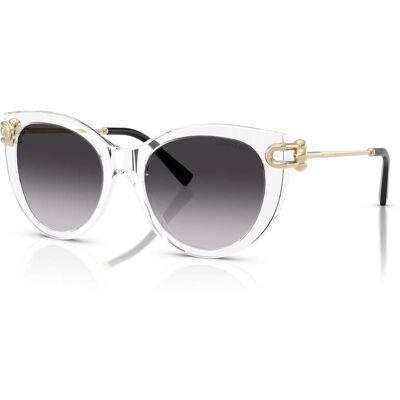 Sonnenbrille Tiffany TF 4232 (80473C) Damen Sonnenbrille Tiffany TF 4232 (80473C) Damen