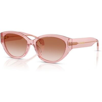 Sonnenbrille Versace VE 4495D (543413) Damen Sonnenbrille Versace VE 4495D (543413) Damen