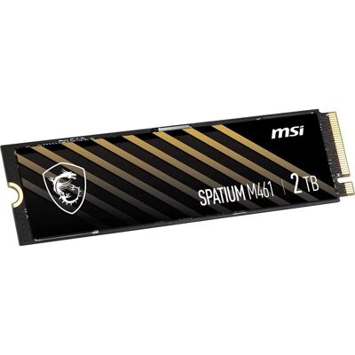 MSI SPATIUM M461 SSD 2 TB NVMe M.2 Gen4x4 MSI SPATIUM M461 SSD 2 TB NVMe M.2 Gen4x4