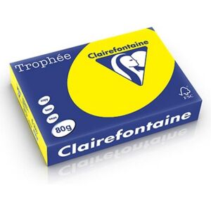 Clairefontaine Druckerpapier Claire Fontaine 1771C A4 80 g/m2 Rosa 500 Blatt Clairefontaine Druckerpapier Claire Fontaine 1771C A4 80 g/m2 Rosa 500 Blatt
