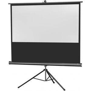 Celexon Economy Projektionsleinwand mit Stativ 219x123cm Celexon Economy Projektionsleinwand mit Stativ 219x123cm