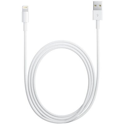 Apple MD818ZM/A Lightning-Kabel 1 m Weiß Apple MD818ZM/A Lightning-Kabel 1 m Weiß
