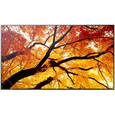 Monitor Sharp MultiSync M432 42,5" UltraHD 4K 60Hz IPS 8ms Digital Signage Monitor Sharp MultiSync M432 42,5" UltraHD 4K 60Hz IPS 8ms Digital Signage