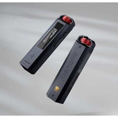 Hi-Res Player FiiO Snowsky ECHO NANO Schwarz Hi-Res Player FiiO Snowsky ECHO NANO Schwarz