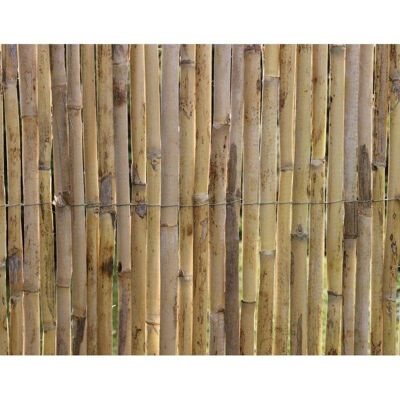 Sichtschutz Nature Premium Schilfrohr 1 x 3 m Beige Sichtschutz Nature Premium Schilfrohr 1 x 3 m Beige