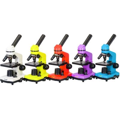 Mikroskop Levenhuk Rainbow 2L Lima Experimentier-Set für Kinder Mikroskop Levenhuk Rainbow 2L Lima Experimentier-Set für Kinder