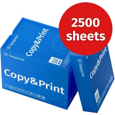 NONE Easyprint A4-Kopierpapier, 2500 Blatt – 80 g/m2 leuchtend weißes Druckerpapier NONE Easyprint A4-Kopierpapier, 2500 Blatt – 80 g/m2 leuchtend weißes Druckerpapier
