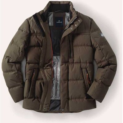 Walbusch Steppjacke Thermozone, noch offen: Filter Passform#normale Größen#untersetzte Größen, Farbe Grün, 62, wärmende Down-touch-Füllung zusätzliche Thermozonen Herren Walbusch Steppjacke Thermozone, noch offen: Filter Passform#normale Größen#untersetzte Größen, Farbe Grün, 62, wärmende Down-touch-Füllung zusätzliche Thermozonen Herren