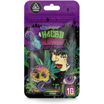 Euphoria H4CBD Blüten Purple Punch, H4CBD 40 %, 1 g Euphoria H4CBD Blüten Purple Punch, H4CBD 40 %, 1 g