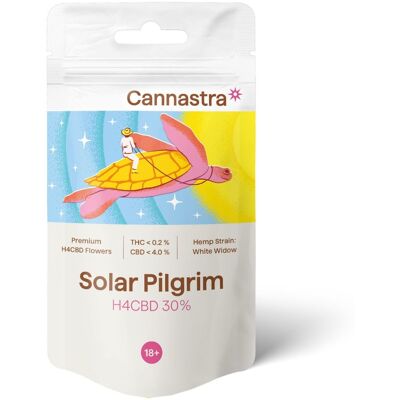 Cannastra H4CBD Blume Solar Pilger (Weiß Witwe) 30%, 1 g - 100 g Cannastra H4CBD Blume Solar Pilger (Weiß Witwe) 30%, 1 g - 100 g