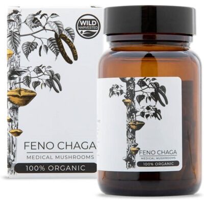Endoca Chaga-Paddenstoelextrakt - Ergänzung Endoca Chaga-Paddenstoelextrakt - Ergänzung